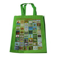 武威LB11覆膜无纺布广告袋